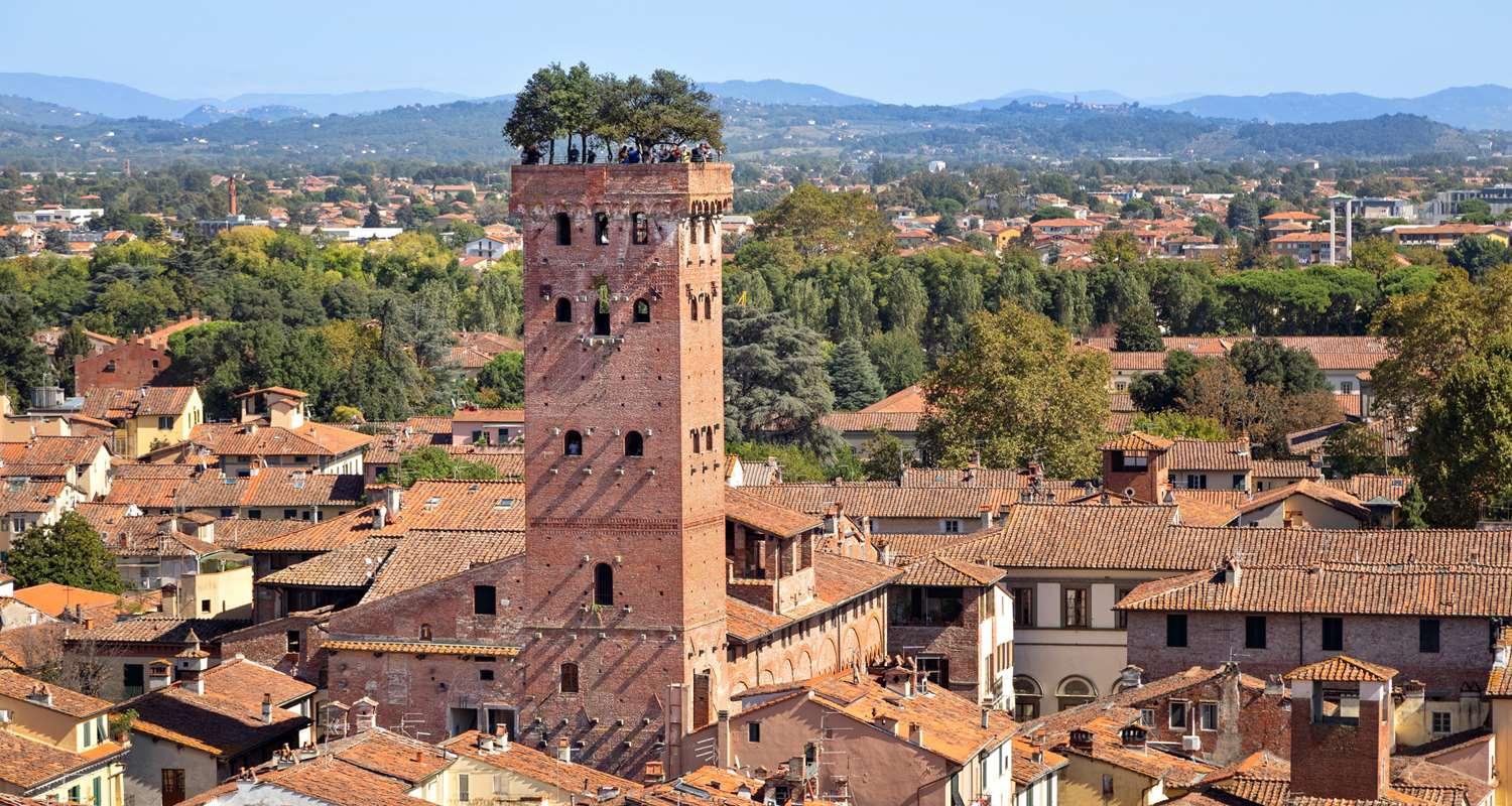 Western Grand Guinigi